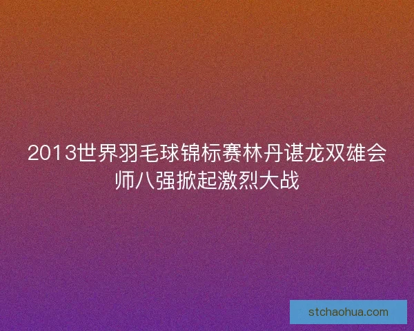 2013世界羽毛球锦标赛林丹谌龙双雄会师八强掀起激烈大战