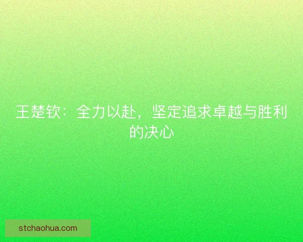 王楚钦：全力以赴，坚定追求卓越与胜利的决心